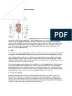 Anatomi Dan Fisiologi Sistem