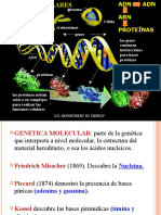 Genetica Molecular