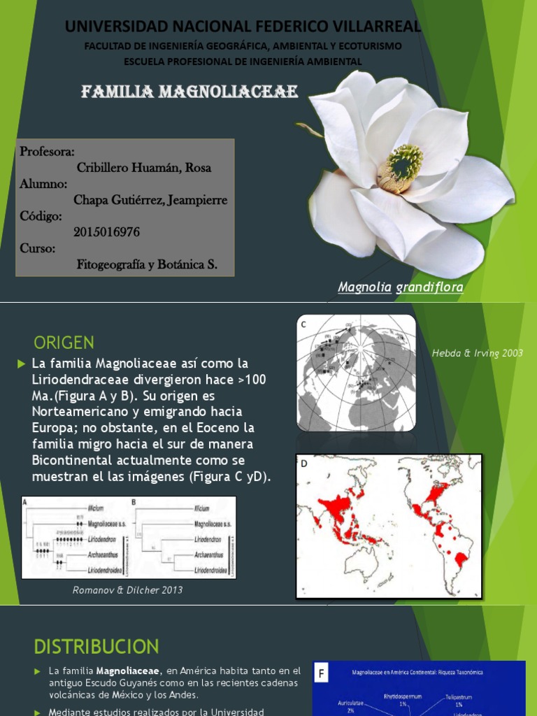 FITOGEOGRAFIA - Familia Magnoliaceae | PDF | Universidad | Naturaleza