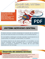 Introducción al sistema nervioso.pptx