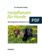 Heilpflanzen Für Hunde