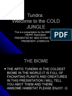 Tundra: Welcome To The COLD Jungle