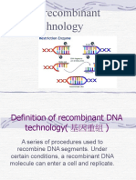 DNA Ant Technology