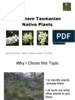 Southern Tasmanian Native Plants