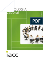 09_psico_laboral.pdf