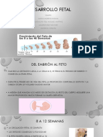 Desarrollo Fetal