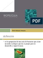 Biopelícula