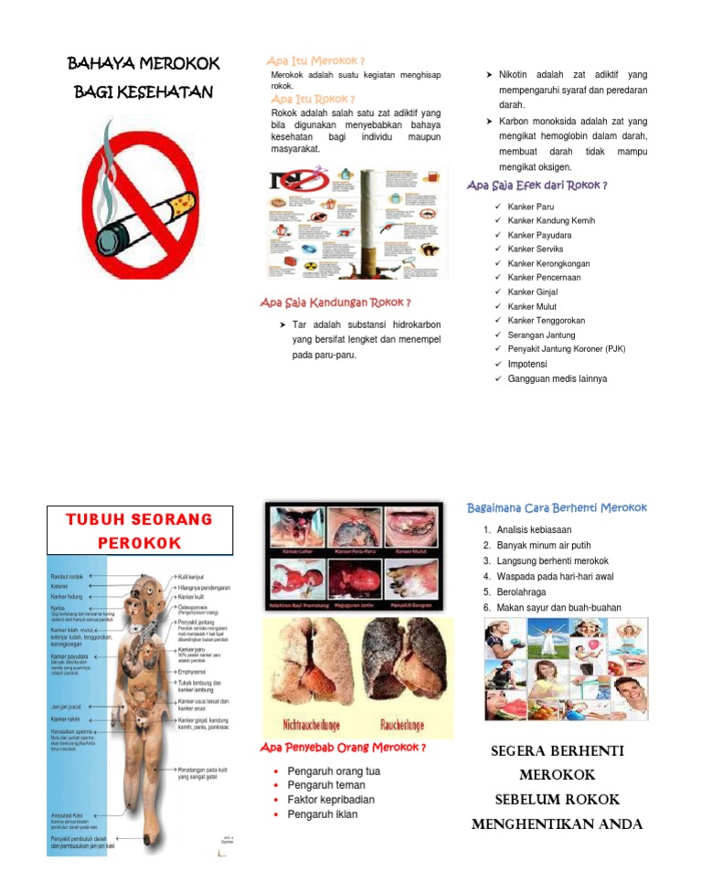 20 Trend Terbaru Pamflet Bahaya Merokok Bahasa Inggris Little Duckling Blog