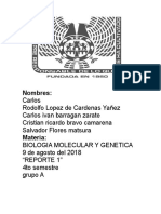 Practica 2 Molecular y Genetica