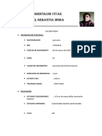 Curriculum Vitae de Joel