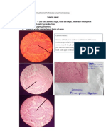 Praktikum Pa Blok 24