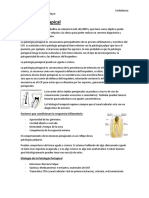 Patología periapical: clasificación e historia clínica