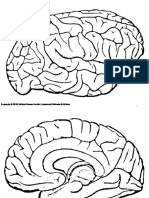 Guía 3b Dibujos para Colorear e Identificar Estructuras