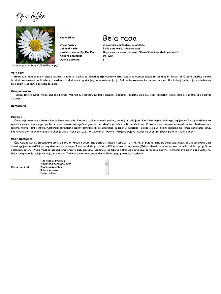 Bela Rada | PDF