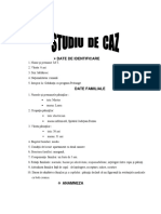 Studiul de Caz