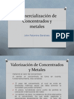363377473-Comercializacion-de-Concentrados-y-Metales.pdf
