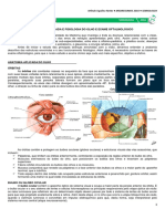 08 - Anatomia Do Olho e Exame Físico