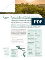 Conservación Forestal Mediante Certificación, Mercados y Fortalecimiento de La Pequeña y Mediana Empresa Forestal