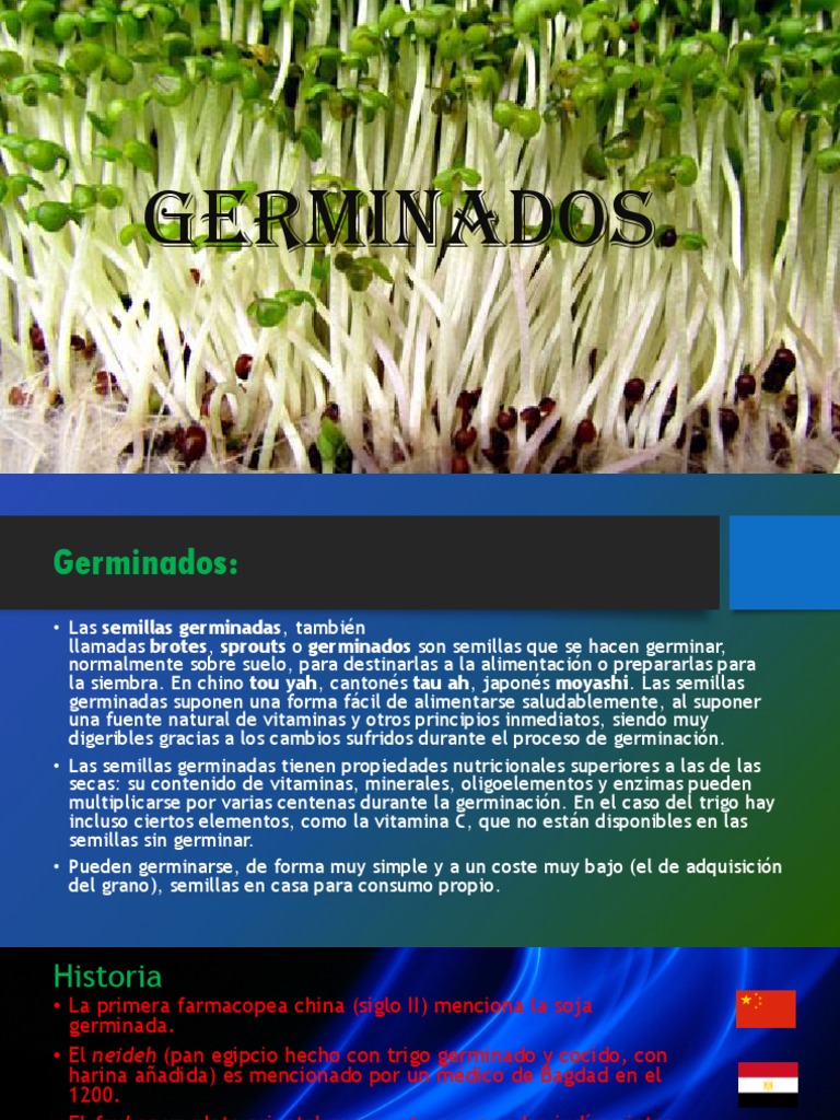 Germinados | PDF | Plantas comestibles | Cultivos