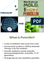 13.penicillin Fermentation