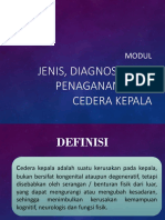 Modul - Jenis, Diagnosa, Dan Penaganan Awal Cedera Kepala