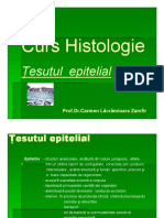 1curs_1_tesut_epitelial_ppt +.pdf