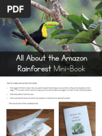 The Rainforest PDF