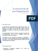 Análisis estructural de una Organización (4)