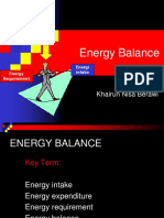 Energy Balance