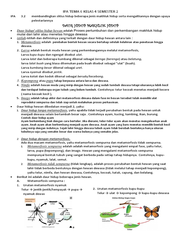 Tema 6 Kelas 3 Pdf
