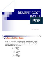 10.benefit Cost Ratio PDF