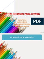 Sistem Hormon Pada Hewan