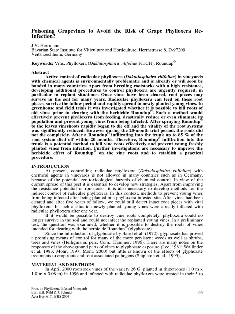 Picture of Poisoning Grapevines To Avoid The Risk of Grape Phylloxera Reinfection ...