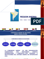 31_Presentacion_VICTOR_DONGO_COMUNIDAD_ANDINA.pps