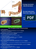 7.-Patologia-intestinală.-Infecții-intestinale