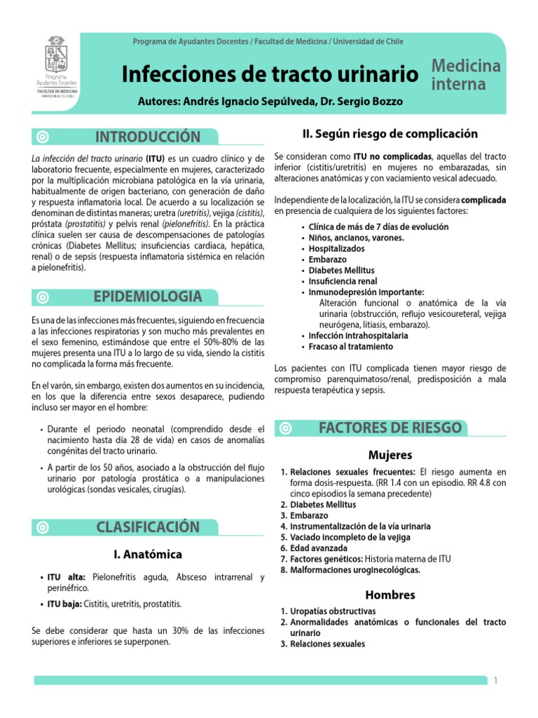 Infecciones Del Tracto Urinario Etiología Factores De Riesgo Y