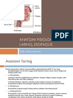 Anatomi Fisiologi Faring Laring Esofagus