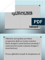 Presentasi Biologi Glikolisis