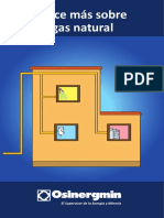 12 Gas Natural.pdf