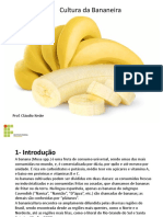 Cultura Da Bananeira