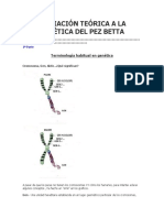 Iniciación Teórica A La Genética Del Pez Betta