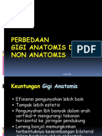 11-13 Prosto Gigi Anatomis