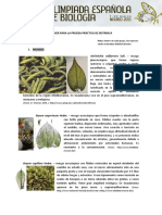 Musgos y Liquenes PDF