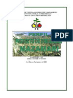 Perfil Irrigación Mazamari