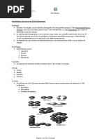 Resumo Completo Primeira Prova Micro