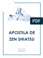 apostiladezenshiatsu-140312072128-phpapp01.pdf