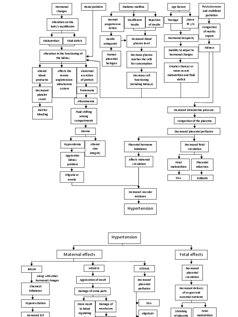 Pregnancy Induced Hypertension Pathophysiology | PDF | Fetus | Kidney