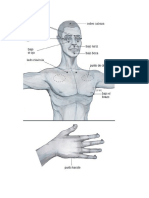 Eft Examen