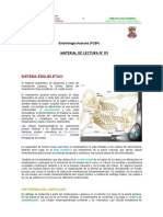 Embriología del aparato esquelético