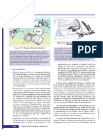 SES Indice al final-18.pdf